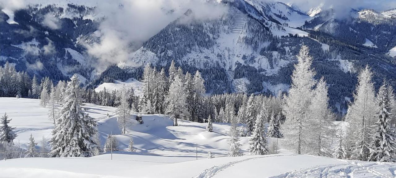 Chalet Auhof Flachau Exterior photo