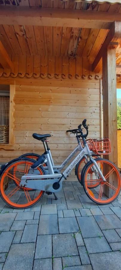 Chalet Auhof Flachau Exterior photo